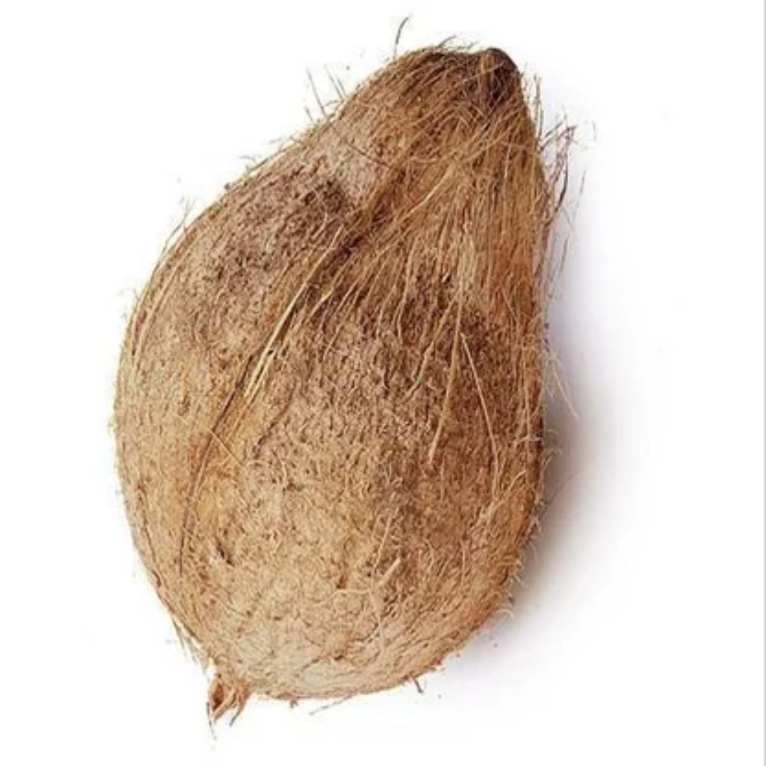 Semi Husked Mature Coconut Exporter UAE